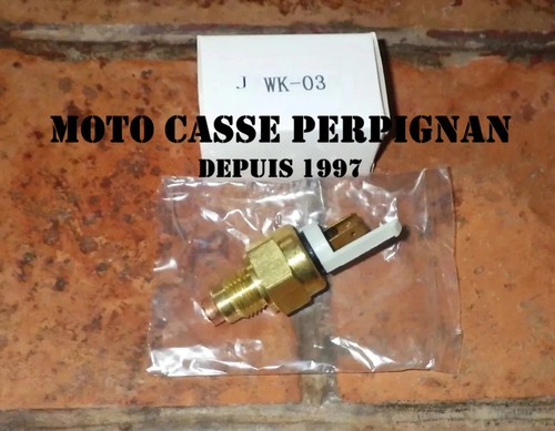 Sonde température eau - eau,